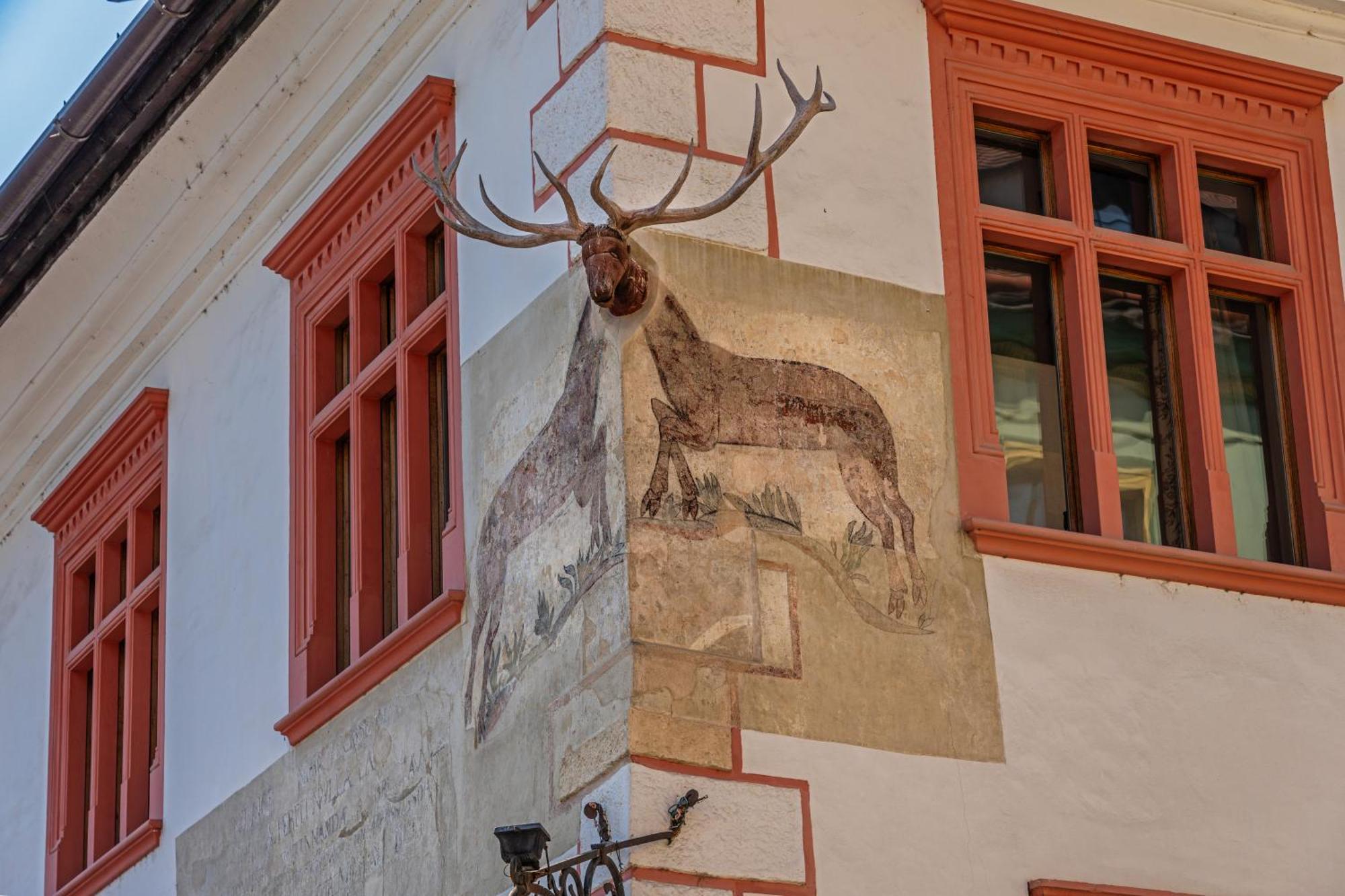 Casa Cu Cerb Hotel Segesvár Kültér fotó