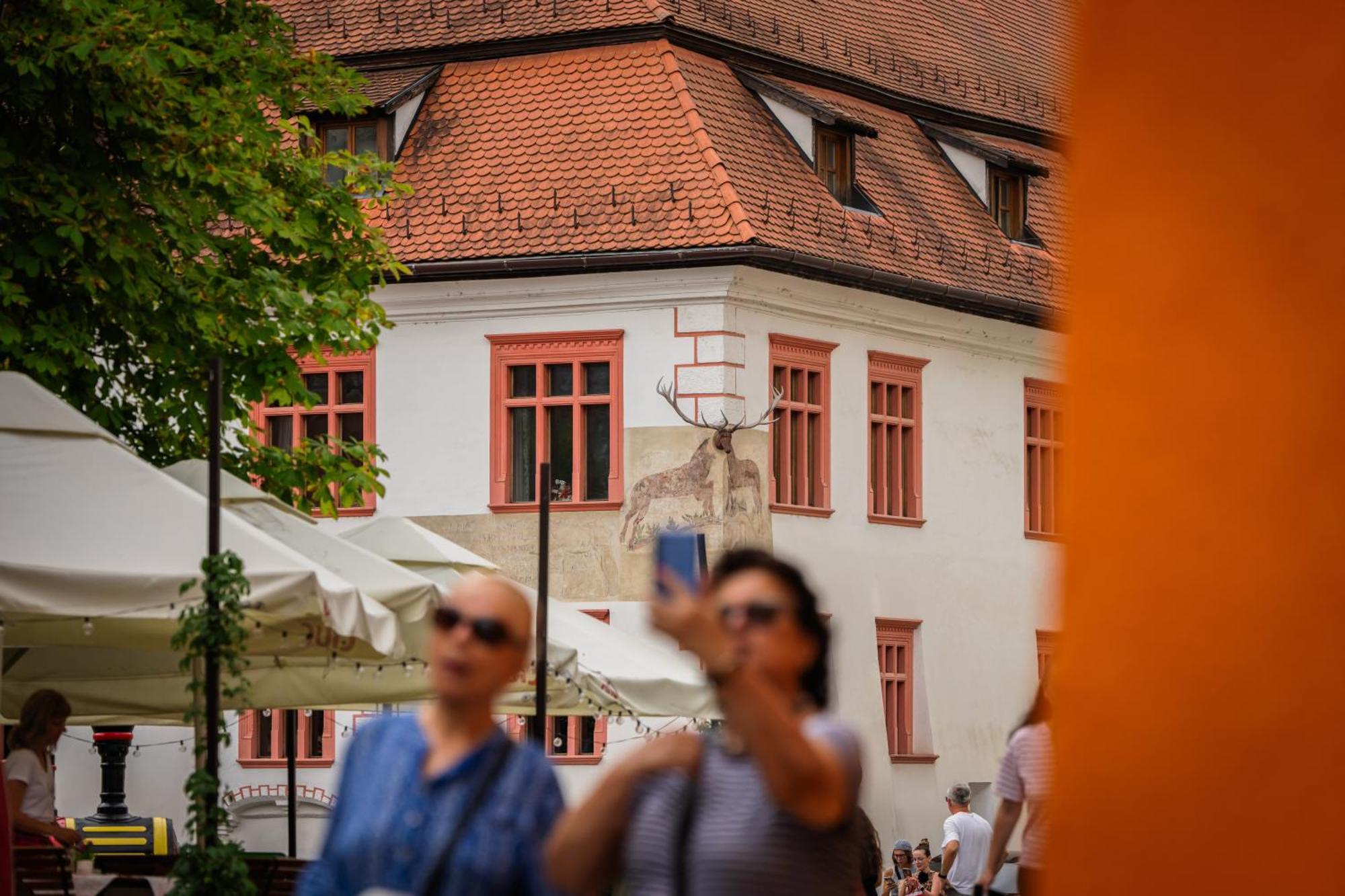 Casa Cu Cerb Hotel Segesvár Kültér fotó