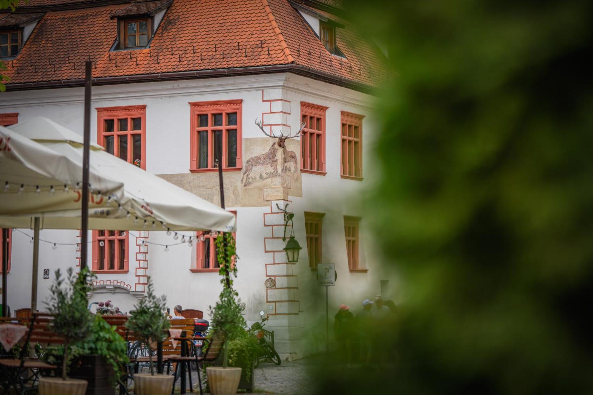 Casa Cu Cerb Hotel Segesvár Kültér fotó